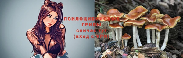 экстази Заводоуковск