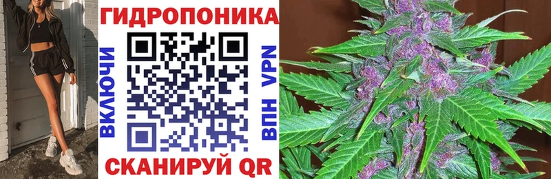 Купить  Железногорск-Илимский  Каннабис план 